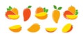 Mango logo. Isolated mango on white background